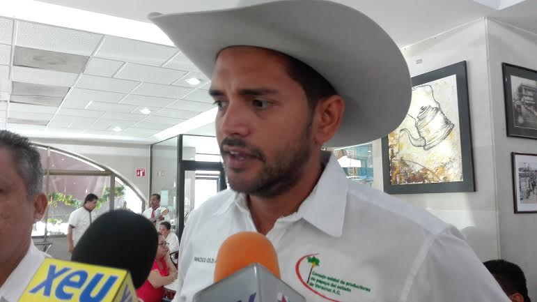 Mil 800 hectáreas de cultivo de papaya resultaron afectadas por el frente frío 45