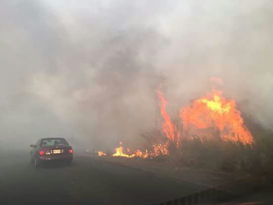 Ola de calor provoca incendios en el sur del estado