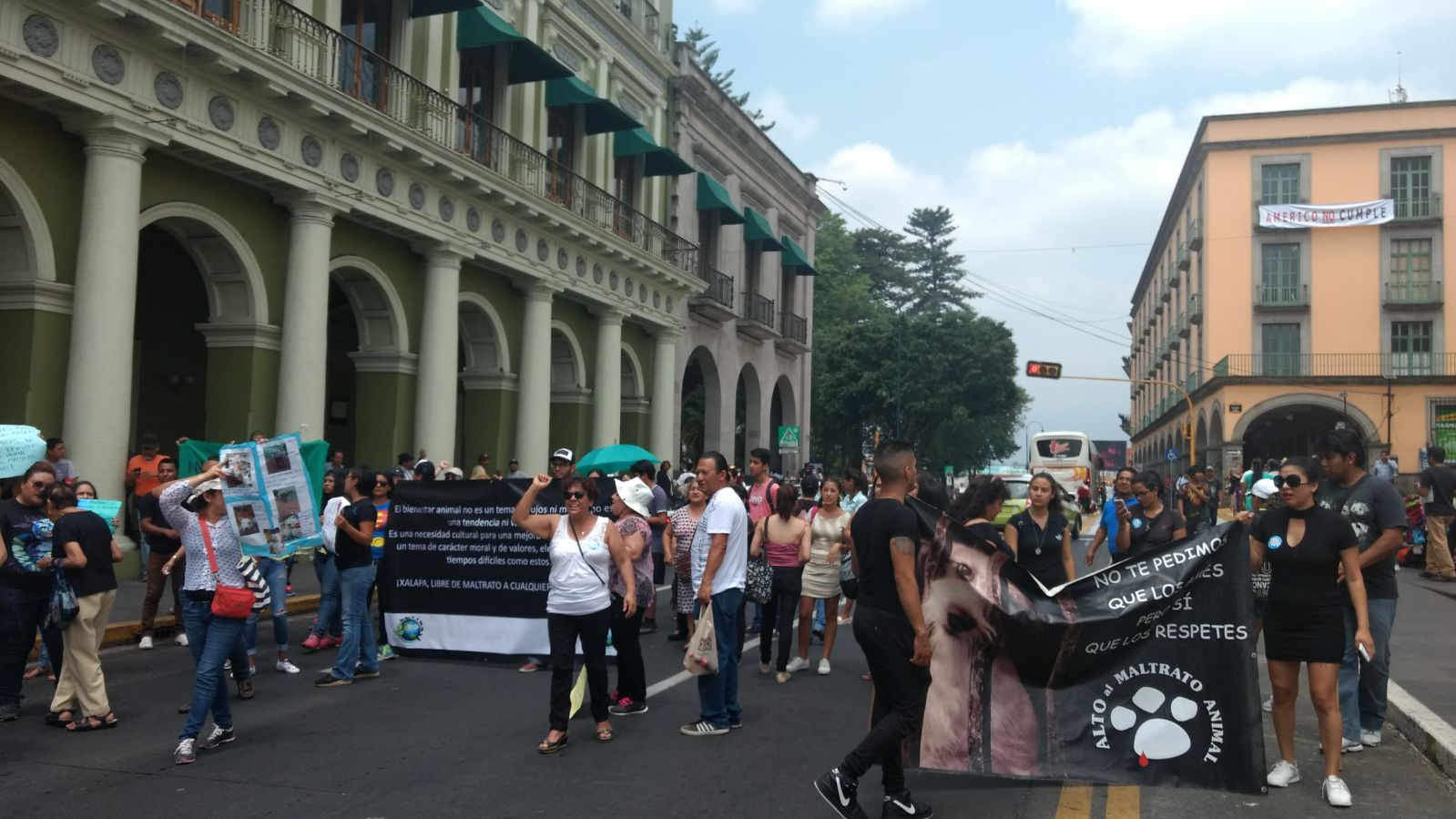 Animalistas cierran el centro de Xalapa para exigir castigo para los asesinos de ‘Shelby’