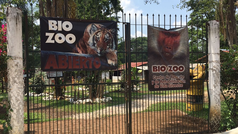En Córdoba, África Bio Zoo contará con nuevos inquilinos