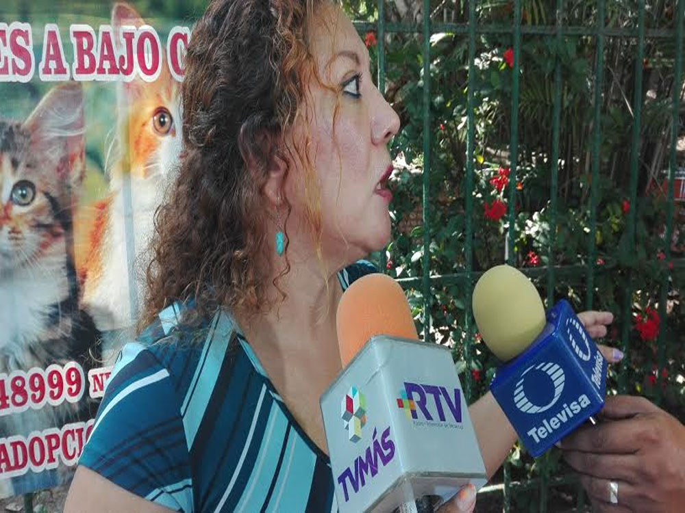 Cierran albergue de gatos en el parque ecológico de Veracruz