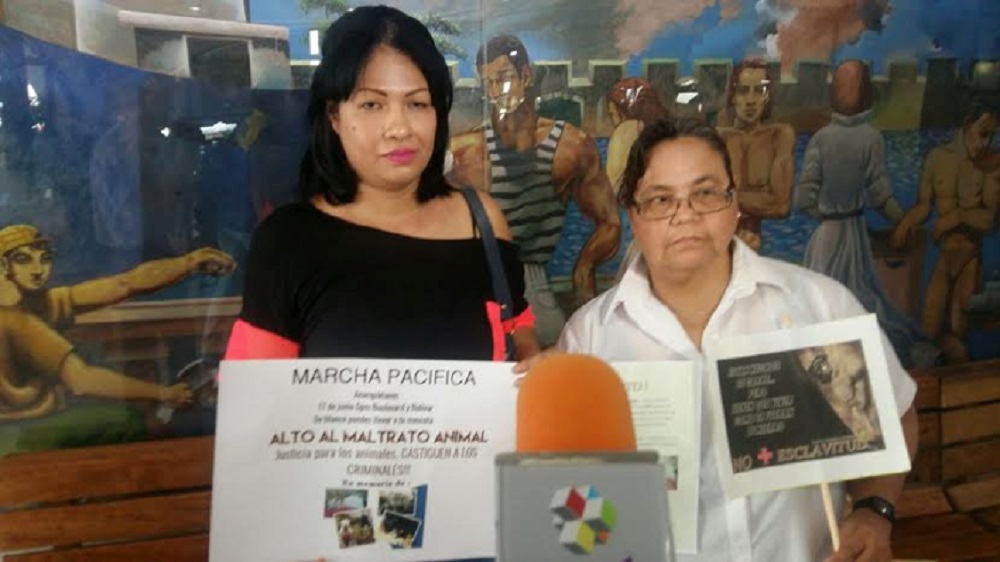 Aumentan los casos de maltrato animal en Veracruz
