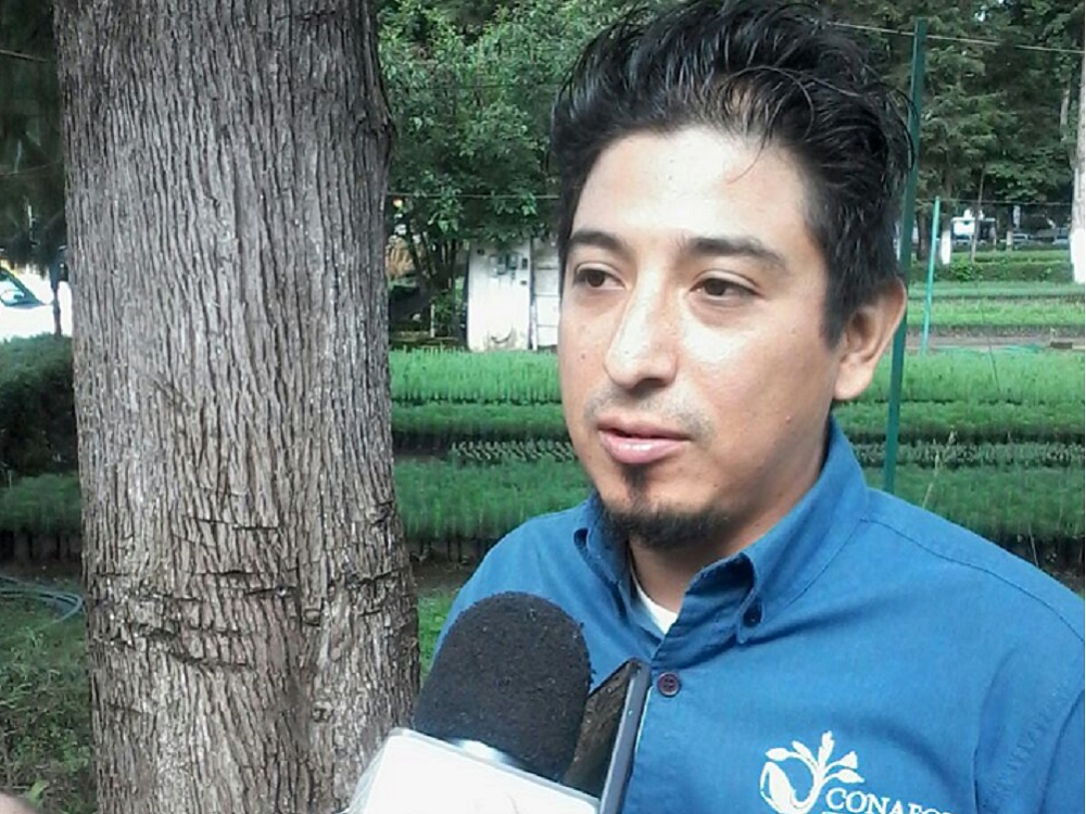 Conafor anuncia programa de empleo temporal