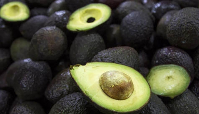 Aguacate disminuye enfermedades cardiovasculares y riesgo de cáncer