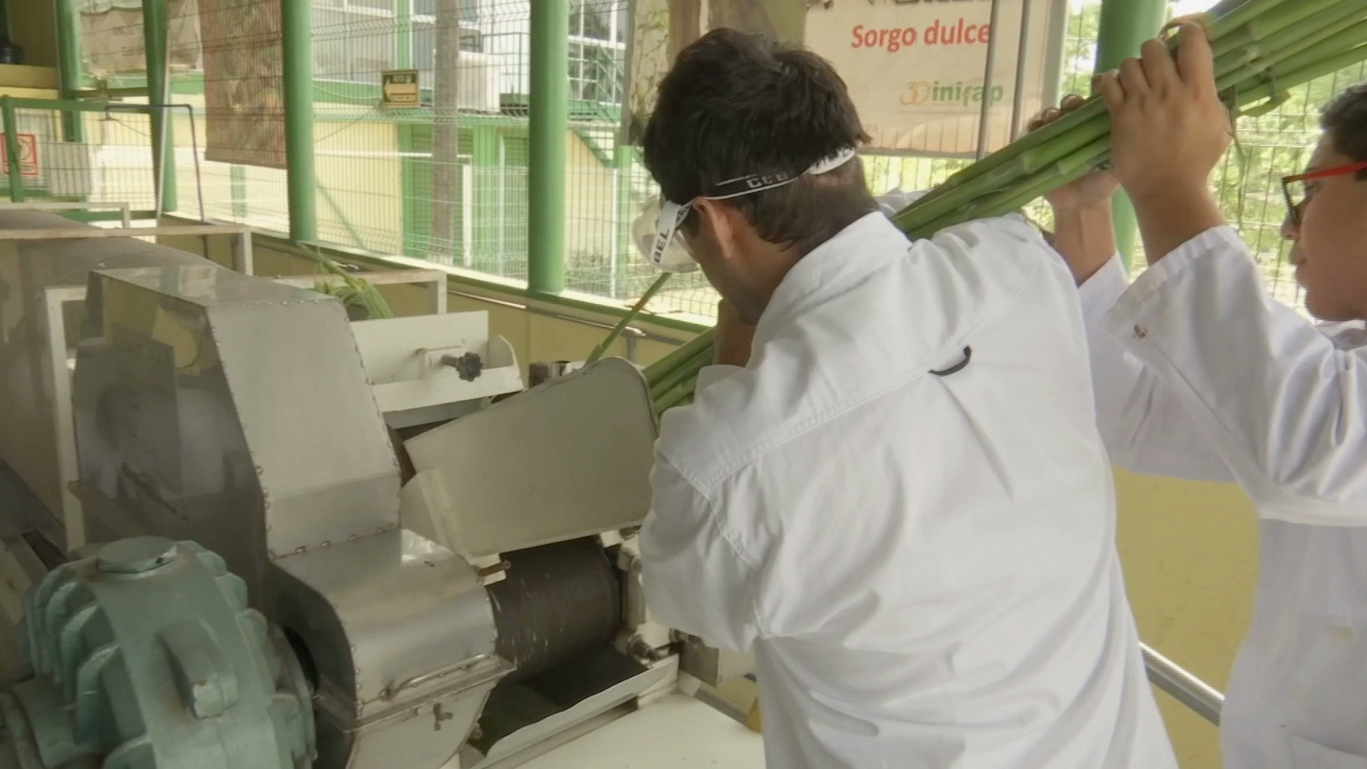Alumnos del ITV generan bioetanol con cereales y vegetales