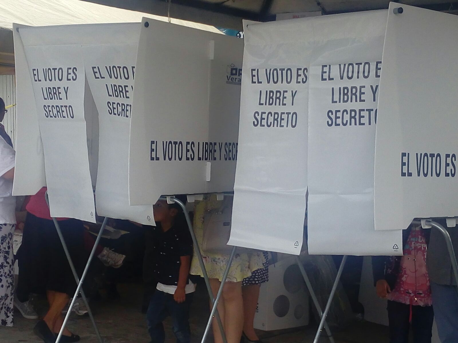 Para el próximo domingo habrá 65 casillas especiales en el estado de Veracruz