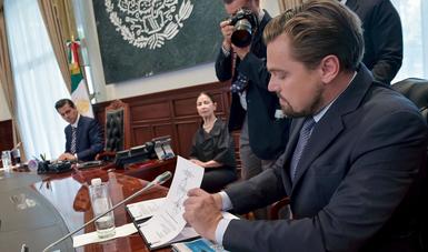 Suman esfuerzos gobierno, Di Caprio y Slim en favor de ecosistemas marinos