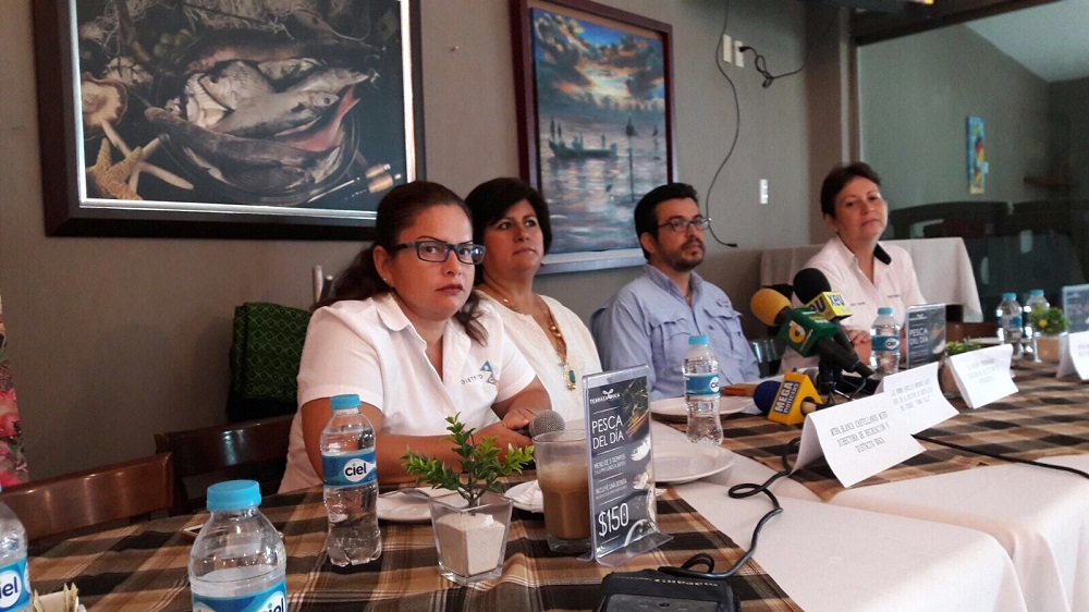 Realizarán la primera Expo Florece Boca del Río en la plaza Banderas