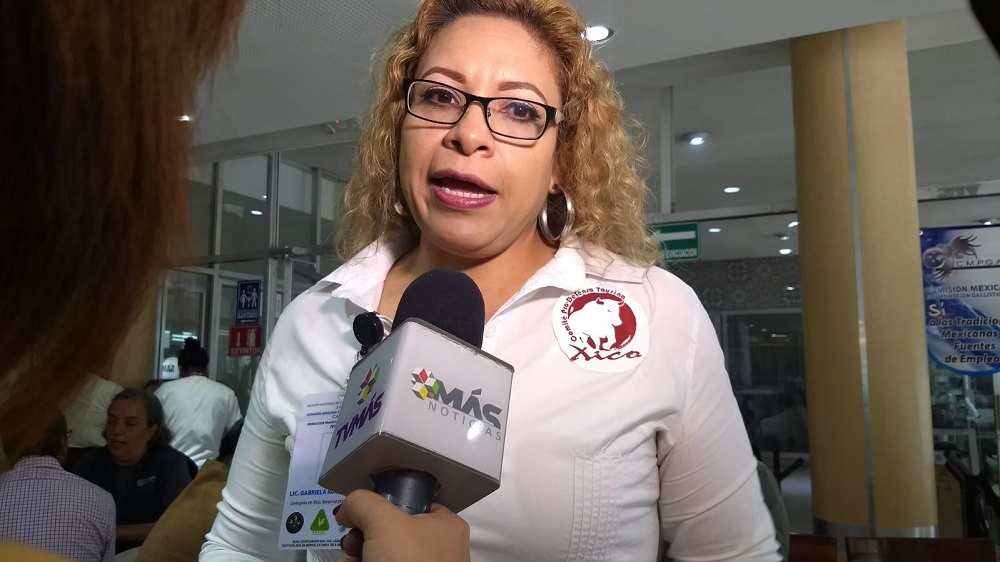 Economía en Xico podría verse afectada si se prohíbe la xiqueñada