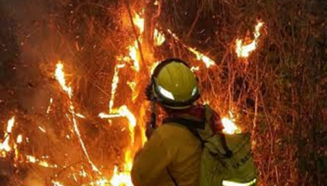 Más de dos mil incendios forestales se han registrado en el país