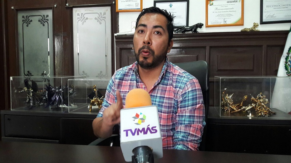 Refugio de gatos continuará operando: Ayuntamiento de Veracruz