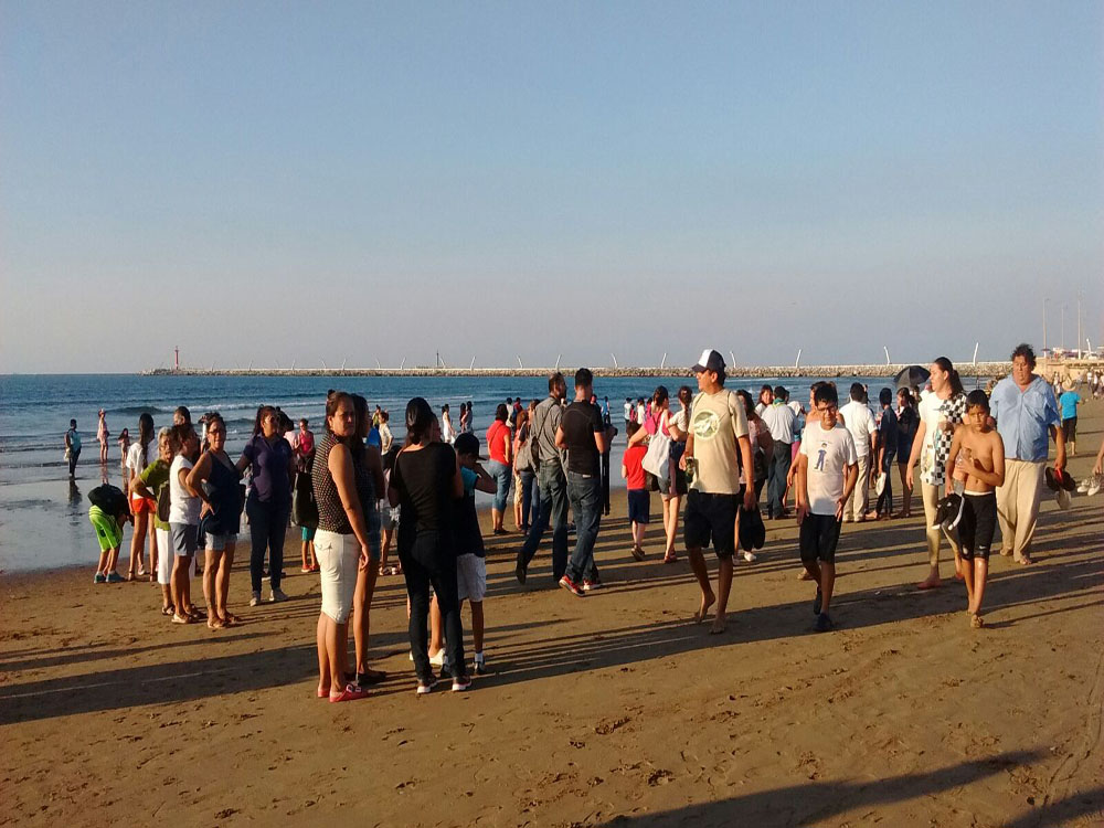 Provocan padres de familia trifulca en liberación de tortugas marinas