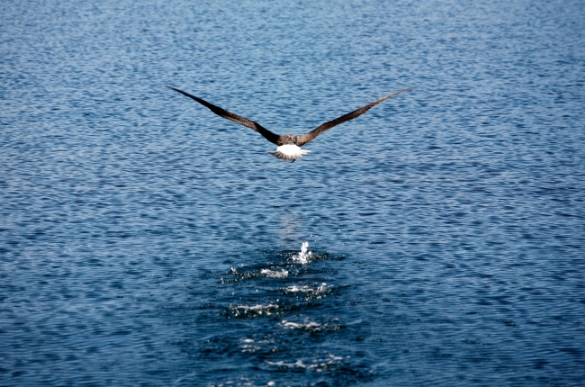 Acuerdan en ONU redoblar esfuerzos internacionales a favor de océanos