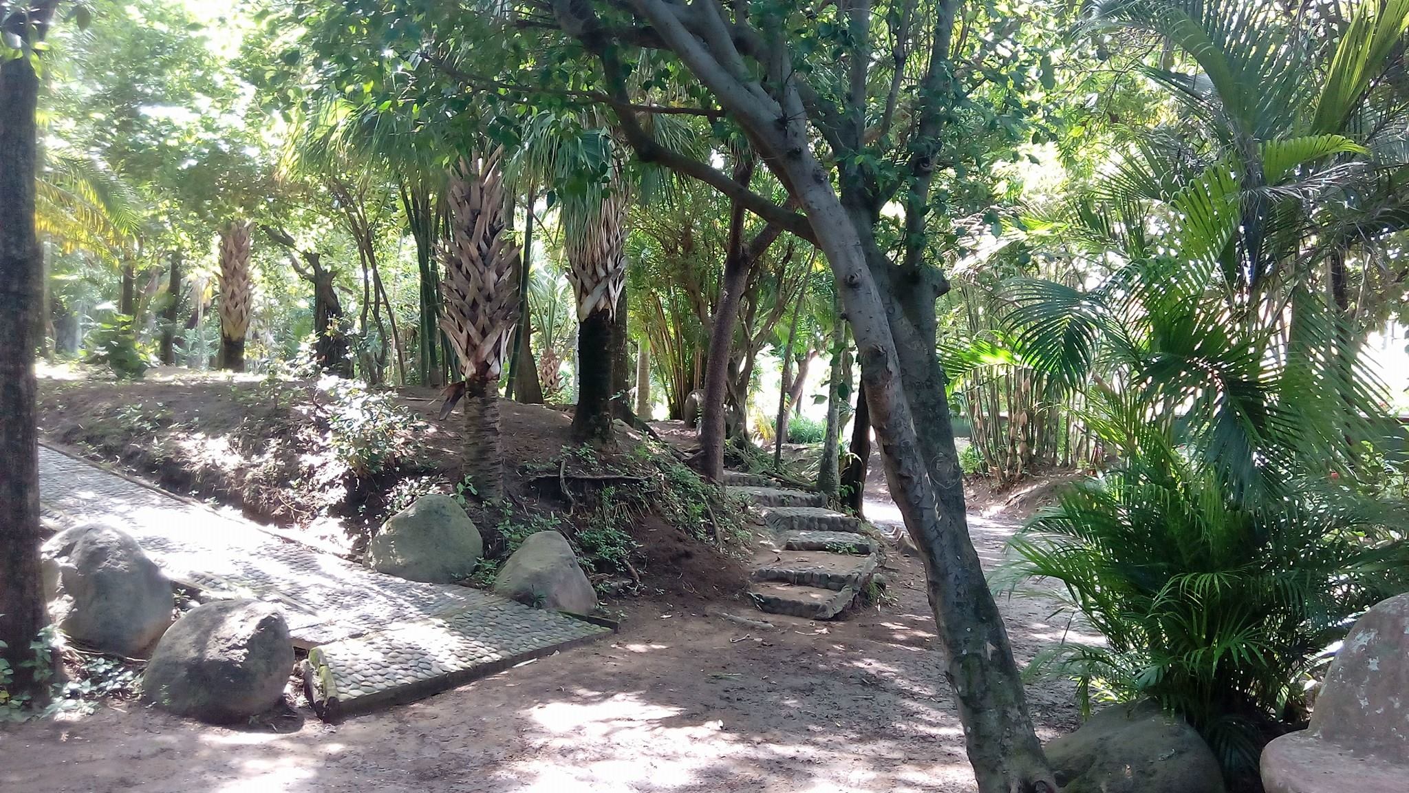 Realiza Jurisdicción Sanitaria VII inspección y saneamiento alrededor del Parque Ecológico