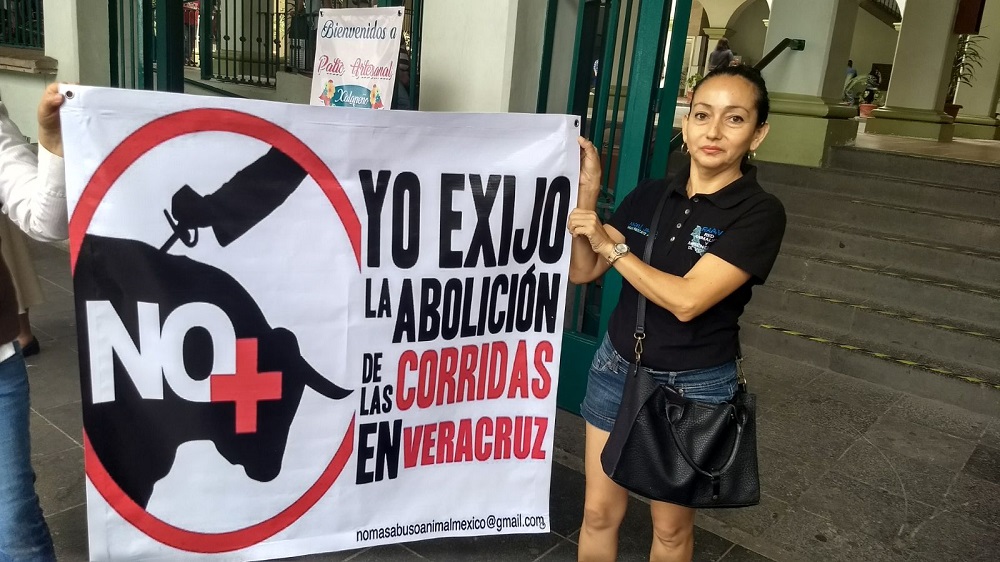 Red Animalista y Ambientalista de Veracruz recaba firmas para abolir corridas de toros