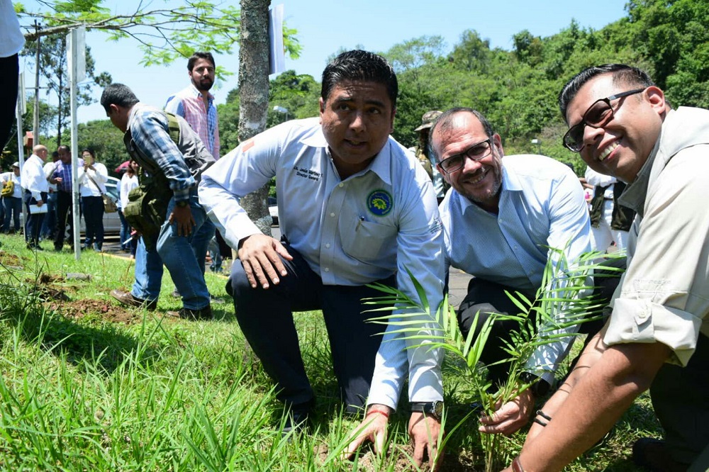 RTV participa en jornada de reforestación por el Día Mundial del Medio Ambiente