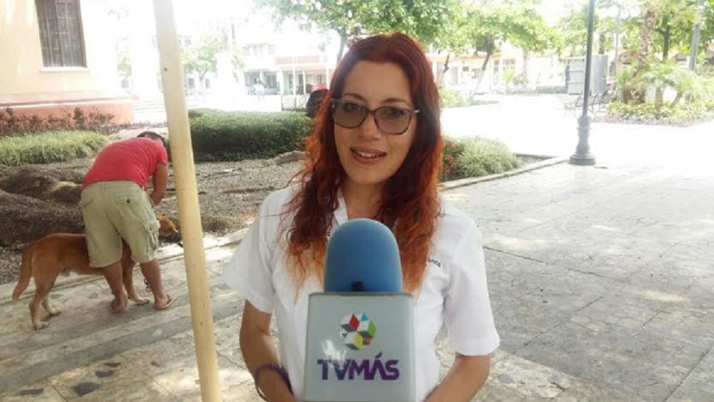 Mascotas sufren de golpe de calor por alta temperaturas