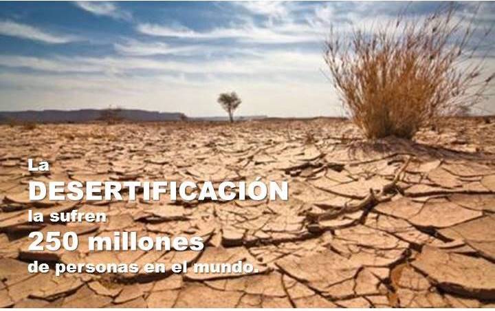 Conafor y UV ofrecerán pláticas sobre la lucha contra la desertificación y la sequía