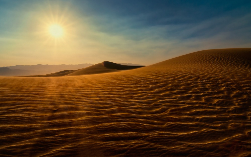 Expertos usan técnica para crear materiales y fertilizantes inspirados en el desierto