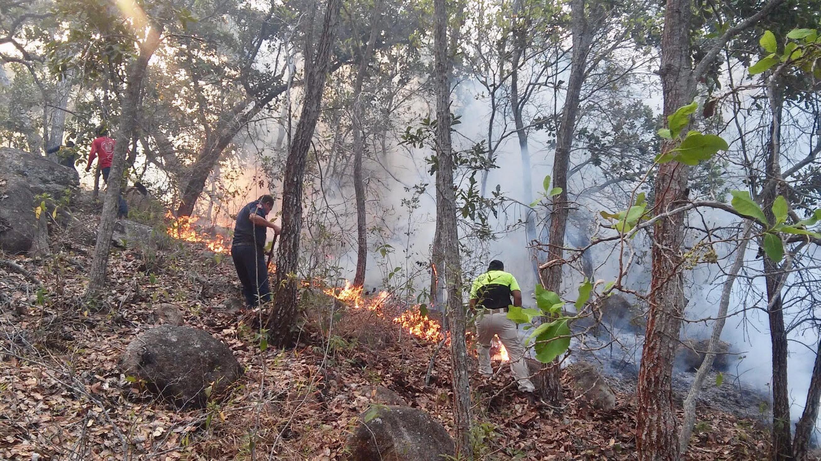 Más de 50 incendios forestales se han registrado a la fecha, supera a lo registrado en 2018