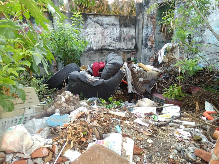 Lote abandonado ponen en riesgo a vecinos en Veracruz