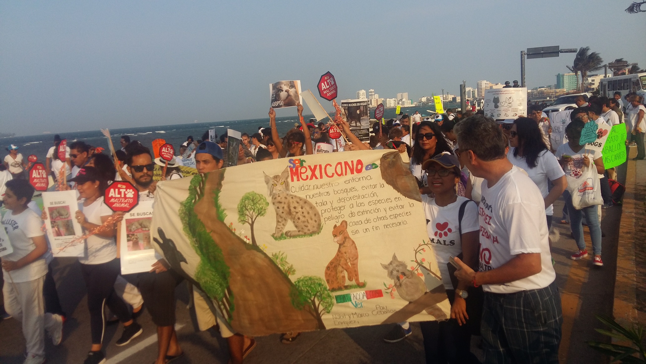 Marchan para promover el respecto hacia los animales en Veracruz