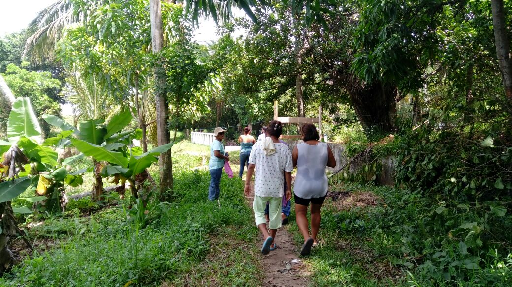 Continúa problemática entre Itesco y vecinos por construcción de barda perimetral