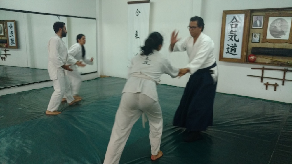 Realizan seminario internacional de aikido