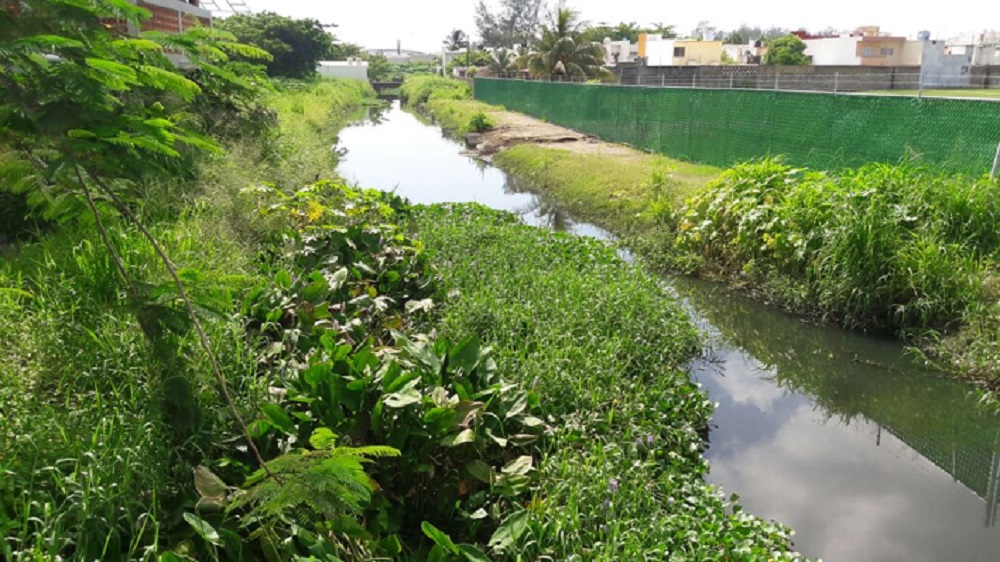 Exigen trabajos de limpieza y desazolve del canal «La Zamorana»