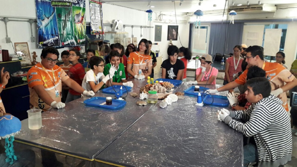 Promueve Acuario de Veracruz cuidado del medio ambiente con curso de verano