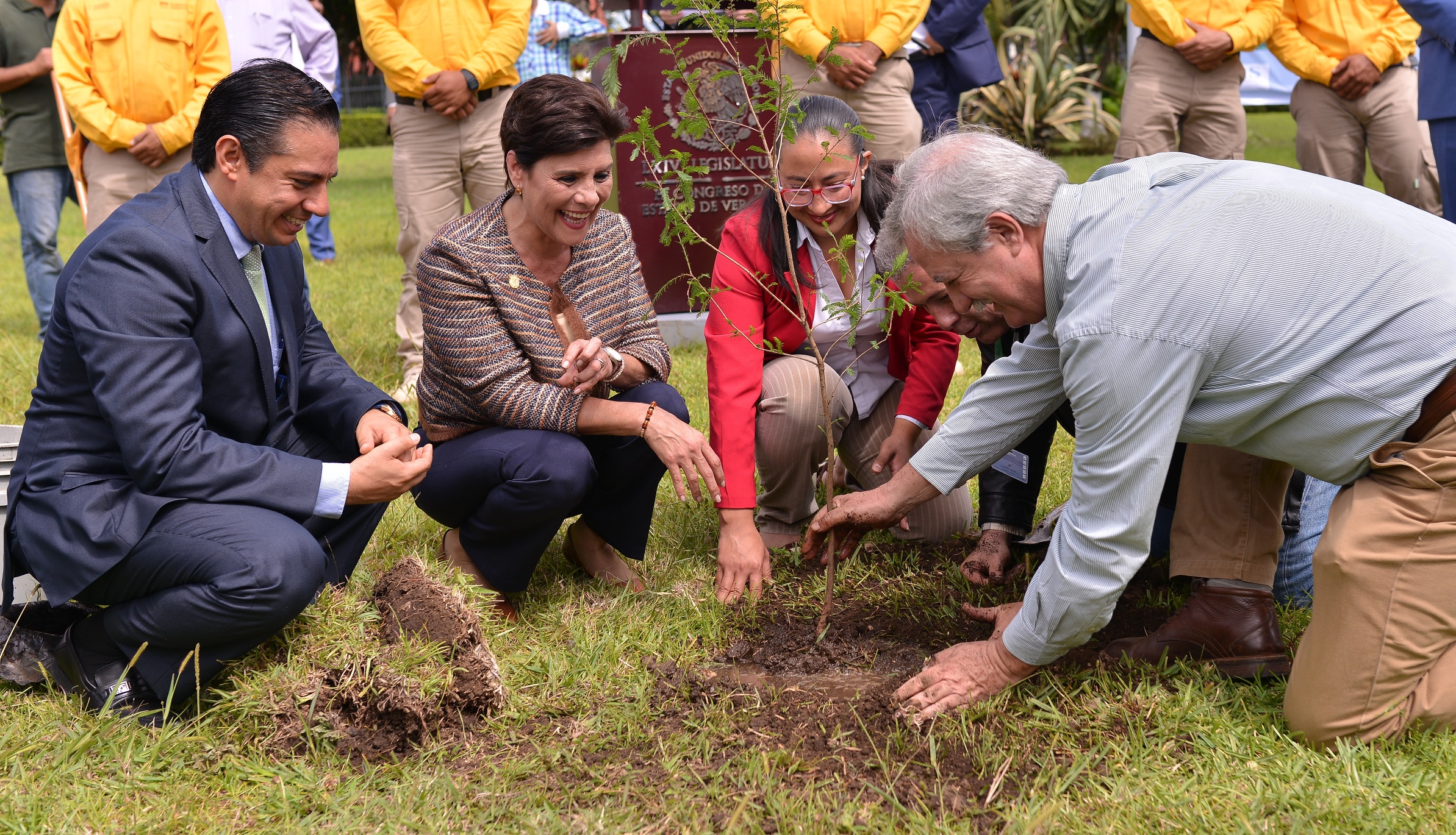 Con restauración de áreas verdes celebran el Día del Árbol en Veracruz