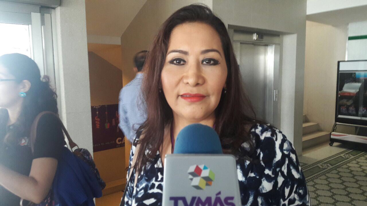 Fallas en Sistema de Justicia Penal por falta de capacitación: Minerva Cobos