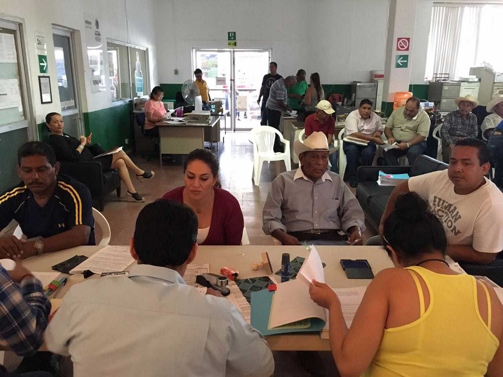 Convoca la SAGARPA a productores veracruzanos a presentar proyectos