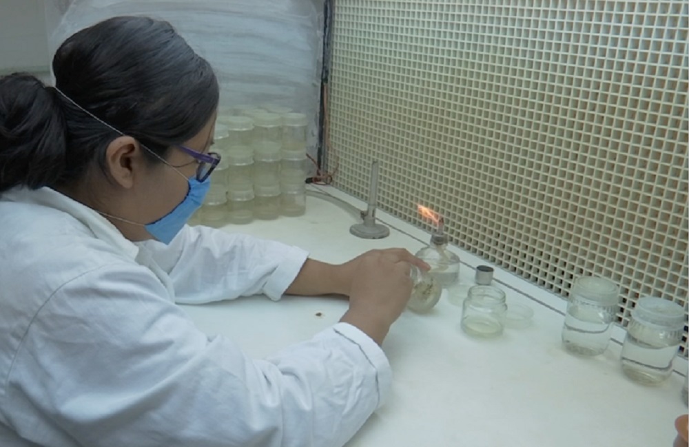 Investigadores del ITVER crean fármaco contra el cáncer