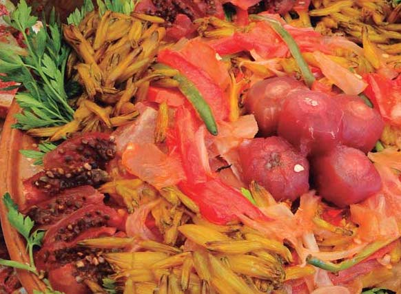 Desarrolla el proyecto La comida tradicional chichimeca, un legado ancestral, vivo y comunitario