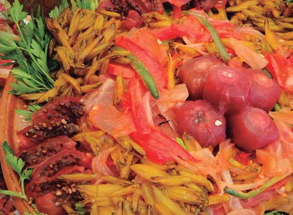 Desarrolla el proyecto La comida tradicional chichimeca, un legado ancestral, vivo y comunitario