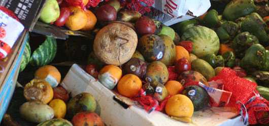 Al año se pierden o desperdician 20 millones de toneladas de alimentos en México