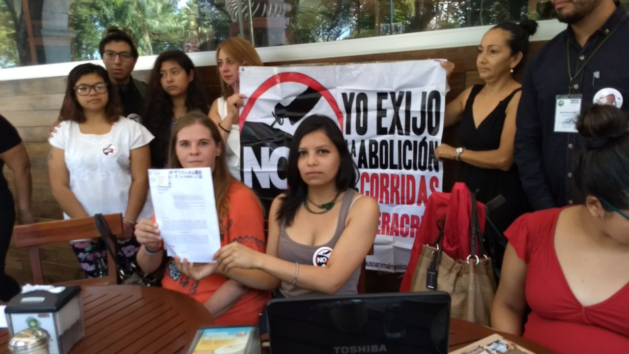 Animalistas piden al gobernador Yunes vetar las peleas de gallos y vaquilladas en el estado