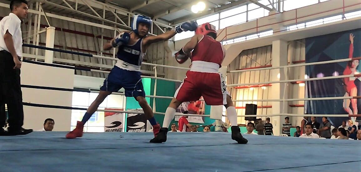 México cierra 2017 con ocho campeones mundiales de boxeo