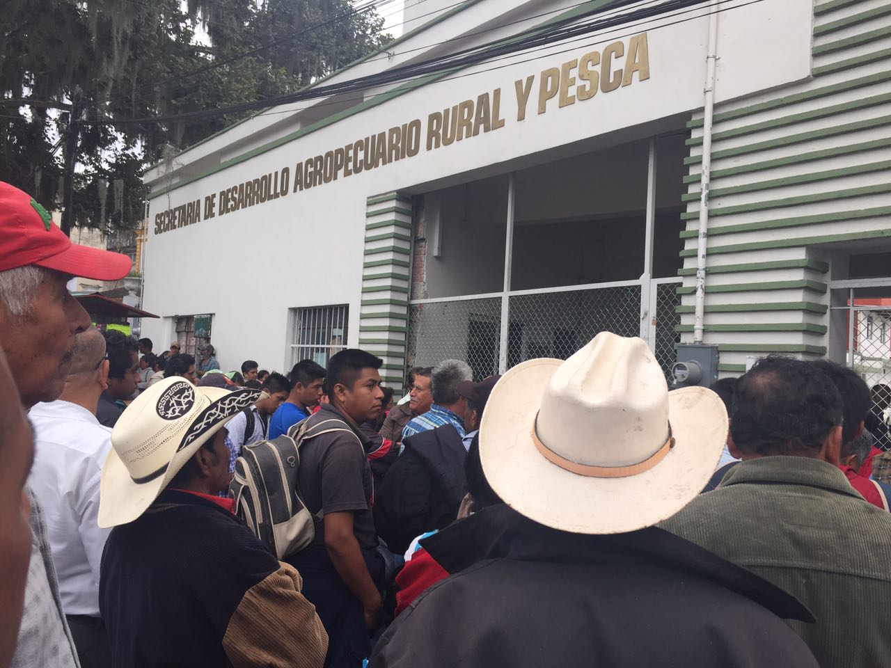 Productores de maíz se manifiestan en la Sedarpa; piden fertilizante subsidiado