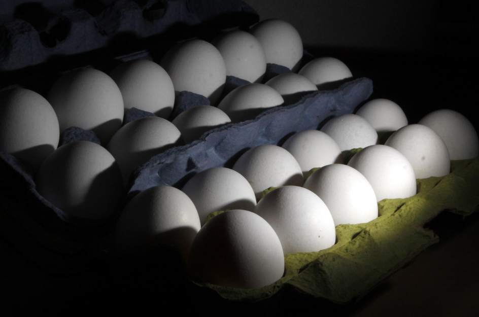 Importación de huevo estadounidense no cumple lineamientos de seguridad de la NOM