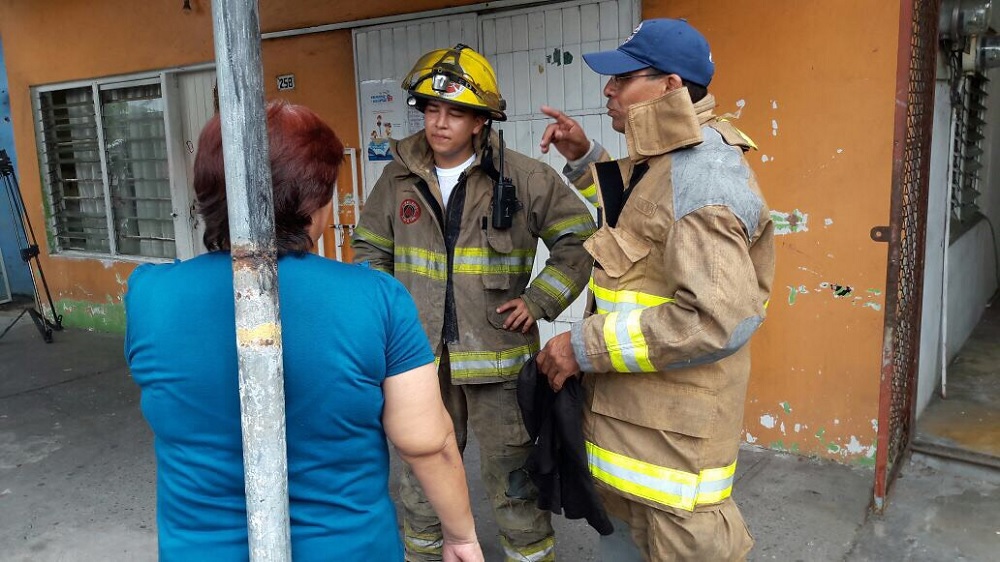 Seis personas lesionadas por picaduras de abejas en Boca del Río