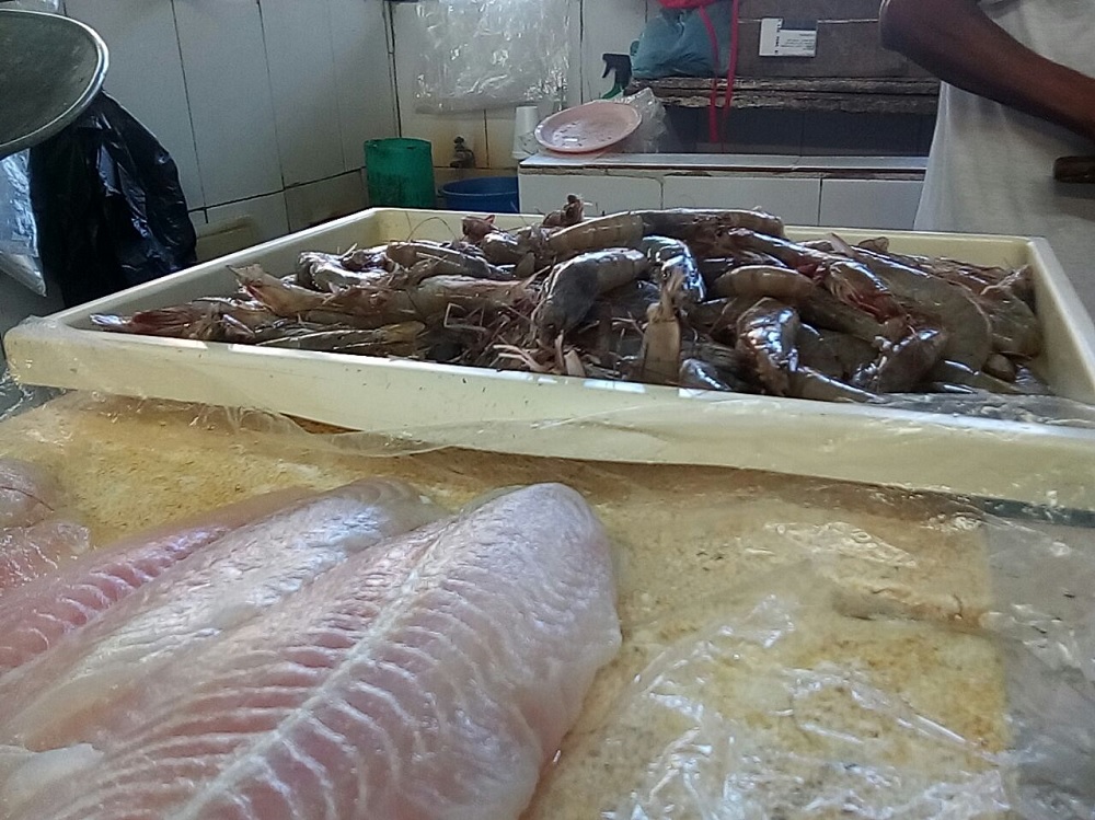 Próximo 28 de agosto concluye la veda del camarón