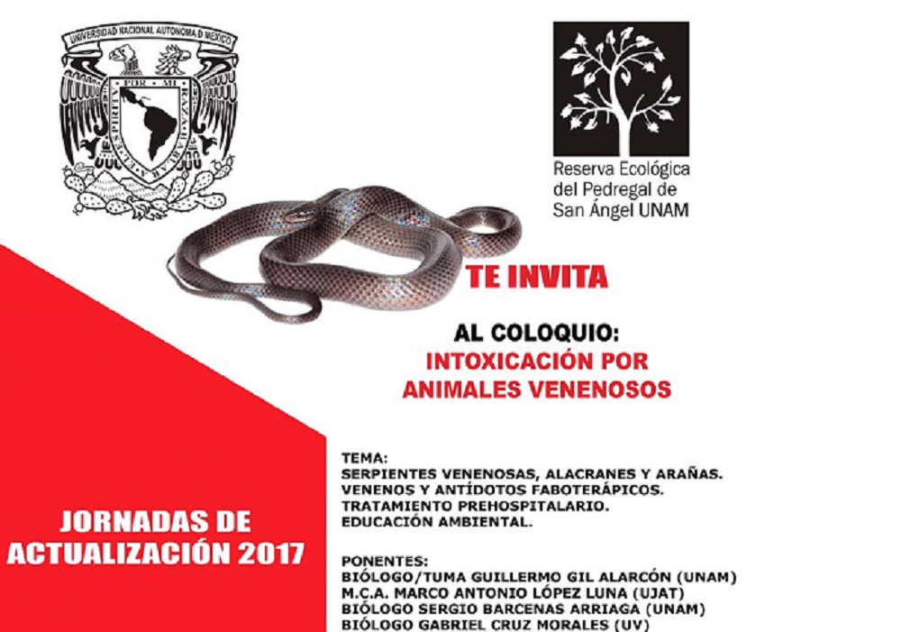 Preparan coloquio sobre intoxicación por animales venenosos en Coatzacoalcos