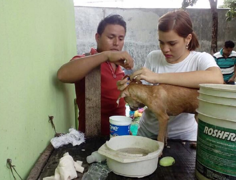 Dejando huellas, un hogar para animales maltratados en Tierra Blanca