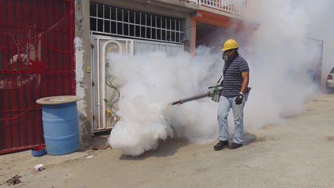 En Veracruz se presentan 30 casos de dengue por cada 100 mil habitantes