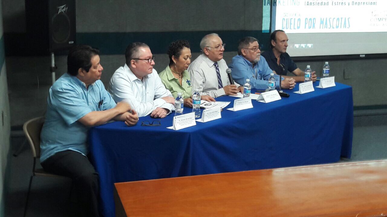 UV ofrece nuevos diplomados dentro del programa de Educación Continua