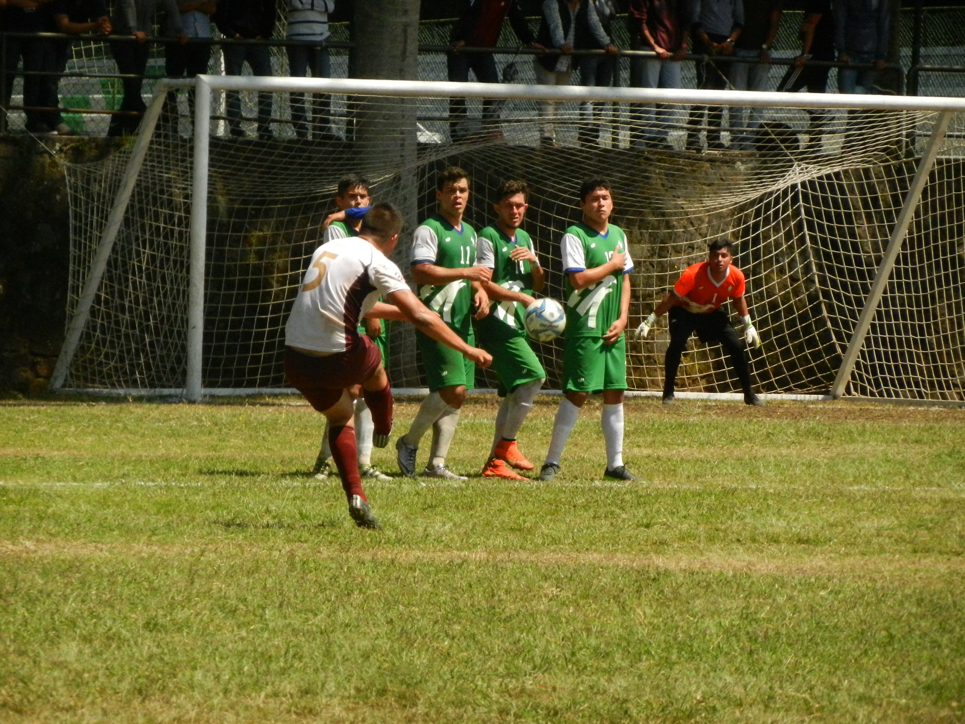 Halcones UV por la medalla de oro en Universiada Nacional