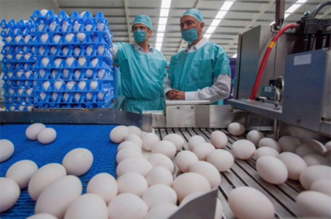 Francia retira de mercados productos fabricados con huevos contaminados