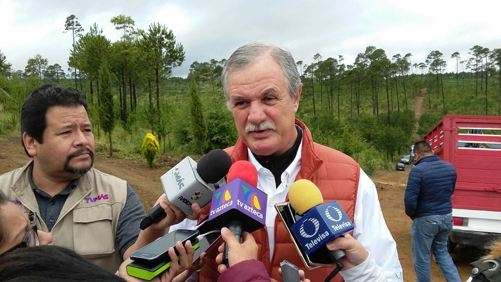 Especialistas deben evaluar impacto ambiental de aerogeneradores en Alvarado